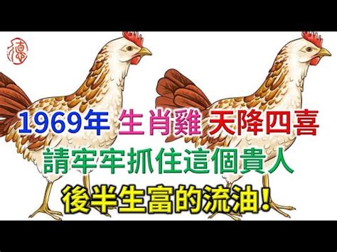 1969屬雞2023幸運色|【1969屬雞幸運色】1969屬雞人必看！你的幸運色、招財色全都。